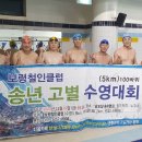 2023년 보령철인클럽 고별수영대회(5km) 이미지
