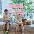 행복하개 남양주점 | 구리 남양주 아이와 가볼만한곳 지금여기서행복하개 실내 애견카페 (강아지 없어도가능)