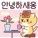 (#)샐피약사점 이미지