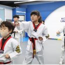 브레인박사 태권도장 이미지