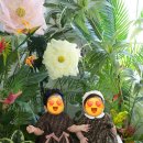 백일에너지 | [베베아르]쌍둥이 백일/돌 촬영