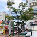 세븐일레븐대구성서계대점 이미지
