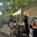 밀양얼음골자연애길목 이미지