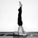 아쉬탕가 요가 이미지