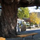 고령시외버스터미널 이미지