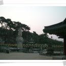 마음터
