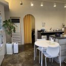 펫퍼스트 24시 강아지분양 고양이분양 파주운정점 이미지