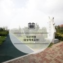 중앙체육공원 농구장 이미지