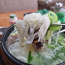 서울 대학로 이화사거리 국밥 맛집 우미옥 설렁탕 후기
