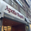 블루힐파크 | 뉴욕 Apollo Bagels 아폴로 베이글 - 새롭다, 빠삭하다, 토마토가 왜 이렇게 신선해..? +메뉴, 가격