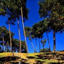 가야 고분군의 세계문화유산적 가치 | 전통건축-10365. 세계유산 고령 지산동 고군분 (2025.12.06.)