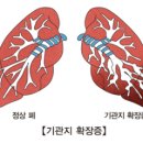 세이 이미지
