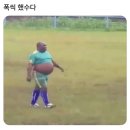 제주우 이미지