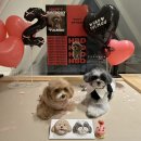 탑실로 35번길L | [내돈내산] 강아지 생일 케이크 맛집_청키딩키 수원 수제간식 추천