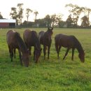 재정농장 이미지