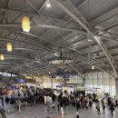 2132 | 부산-도쿄 김해공항-나리타 대한항공 KE2129,KE2132 비상구석 기내식 후기