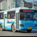 북평파출소 앞 삼거리 ↔ 북평초교 후문 | [노선안내/동해] 강원도 동해시 시내버스 111번 노선안내