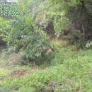 무주읍129 네이버블로그