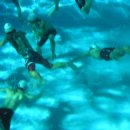 라이프가드 이미지