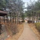 궁동생태공원 이미지