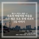 다대온천 | [웰니스 바캉스 플랜 - 6] 속초의 바람처럼 마음을 가득 채운 속초 롯데 리조트 3일 이야기