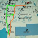 청암담배