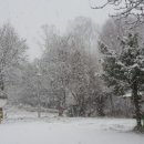 녹지어린이집 이미지