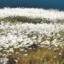 부암마을앞 이미지