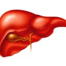 무분별한 약·한약·건기식 복용이 어떻게 간을 망가뜨리나 이미지