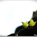 산곳천 이미지