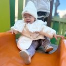 참다래어린이공원 이미지