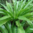 둥지광택 이미지