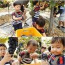 민국농장 이미지