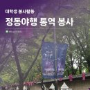 정동기업 | 대학생 봉사활동 추천:: 정동야행 통역 봉사 후기 (취업 봉사 스펙)