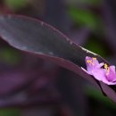 하영올레 3코스 이미지