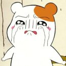 양평 스터닝 뷰 이미지