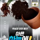 용인대호랑이태권도장 이미지