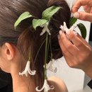 Hee쥬얼리 | [웨딩촬영] 3시간 25만원 이하_가성비 "헤어변형” TOP 10 리스트 비교분석