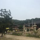 지축동 흥국사길 이미지