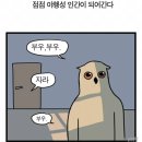 바른에듀 이미지