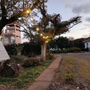 가든인제주 이미지