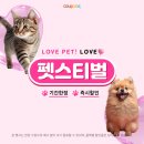 여행필수템 5월 올영픽 한정 1+1 중인 미스사사 슈퍼쿨링 파우더시트 파워퍼프걸 에디션