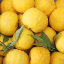 금산 태권도 체육관 이미지