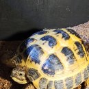 케나인동물병원 이미지