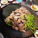 부산갈매기 대전봉명점