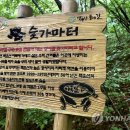 꽃사슴산장 이미지