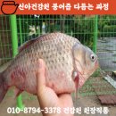 단양건강원
