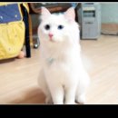 구암동294 이미지