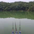 도하저수지 이미지