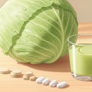 역류성 식도염에 양배추즙, 환(Pill)보다 즙이 좋을까 이미지